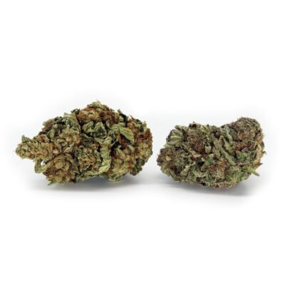 Girl Scout Cookies AAA - Image 2