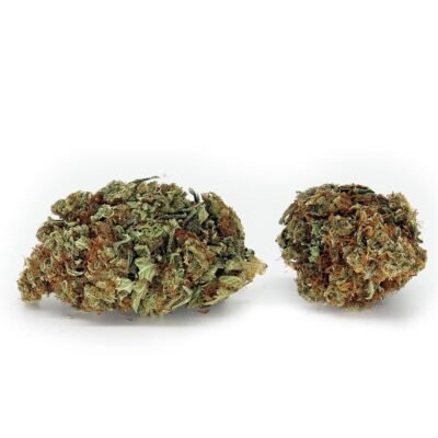 Lemon Skunk AAA - Image 2