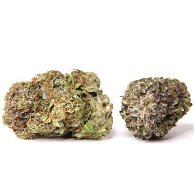 Stardawg AAA - Image 2