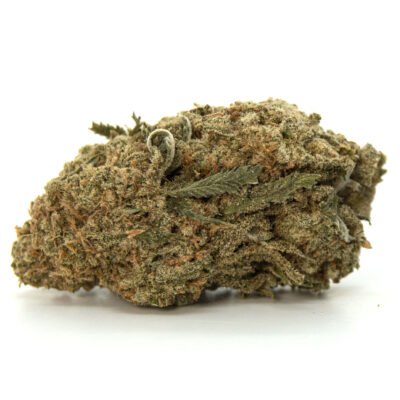 Tangie Dream AAA