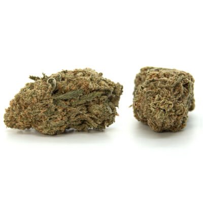Tangie Dream AAA - Image 2