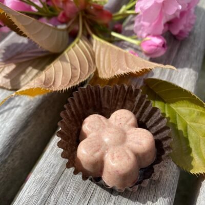 Shizen Botanica Sakura Blossom Psilocybin Chocolates 2000mg